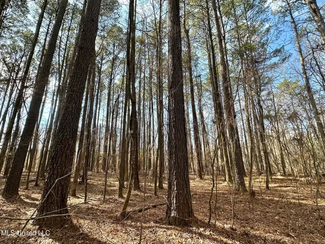 $575,000 | 5 Scarborough Road, Carthage, MS 39051