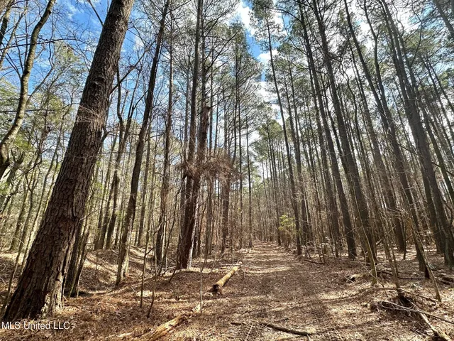 $575,000 | 5 Scarborough Road, Carthage, MS 39051