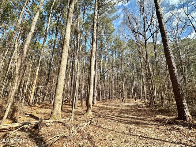 $575,000 | 5 Scarborough Road, Carthage, MS 39051