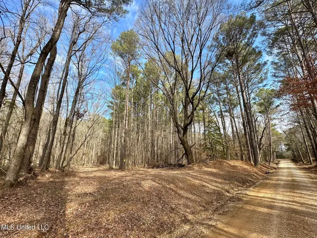 $575,000 | 5 Scarborough Road, Carthage, MS 39051