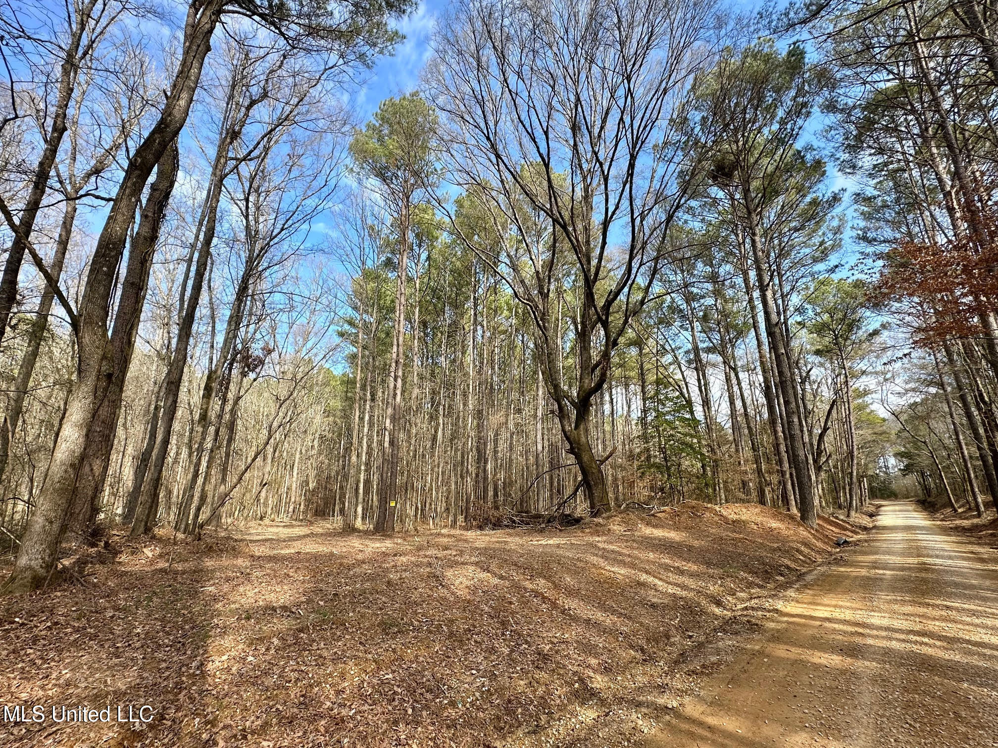 5 Scarborough Road Carthage, MS 39051 - Photo 3 of 46 5