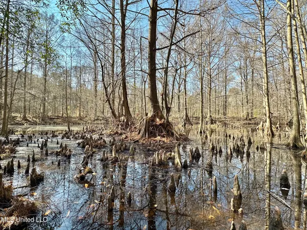 $575,000 | 5 Scarborough Road, Carthage, MS 39051