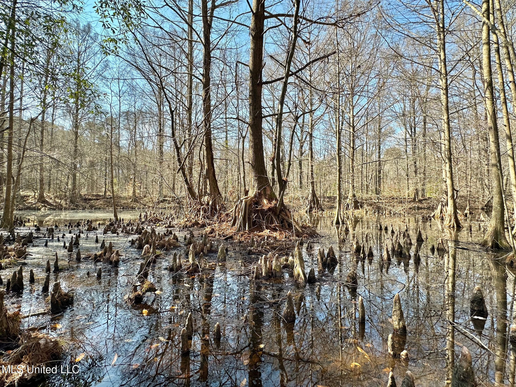 5 Scarborough Road Carthage, MS 39051 - Photo 33 of 46 37