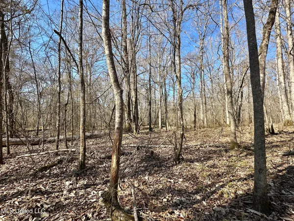 $575,000 | 5 Scarborough Road, Carthage, MS 39051