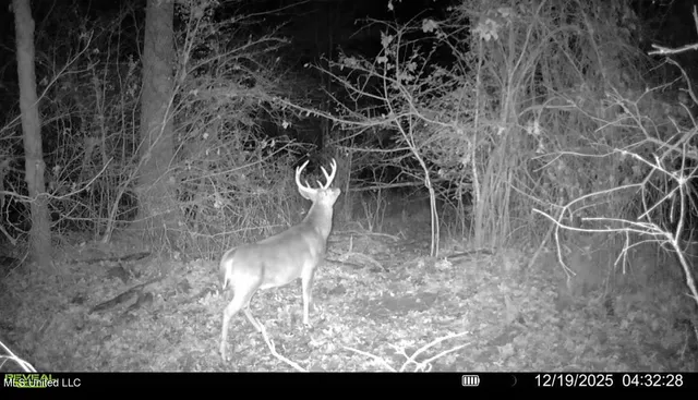 $575,000 | 5 Scarborough Road, Carthage, MS 39051