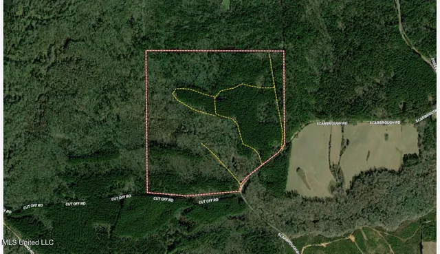 $575,000 | 5 Scarborough Road, Carthage, MS 39051