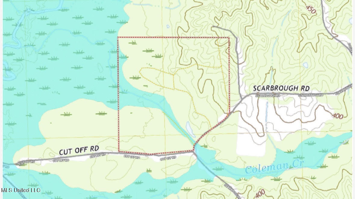 5 Scarborough Road Carthage, MS 39051 - Photo 45 of 46 188