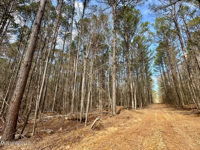 $575,000 | 5 Scarborough Road, Carthage, MS 39051