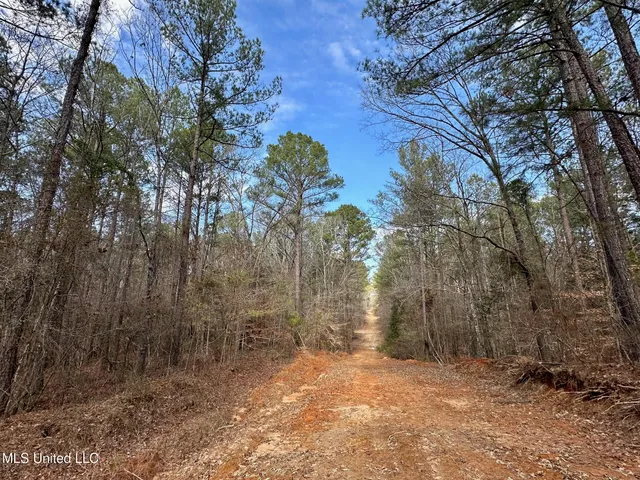 $575,000 | 5 Scarborough Road, Carthage, MS 39051