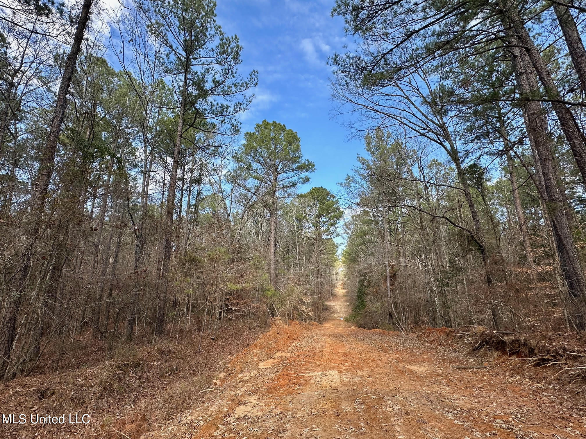 5 Scarborough Road Carthage, MS 39051 - Photo 6 of 46 8