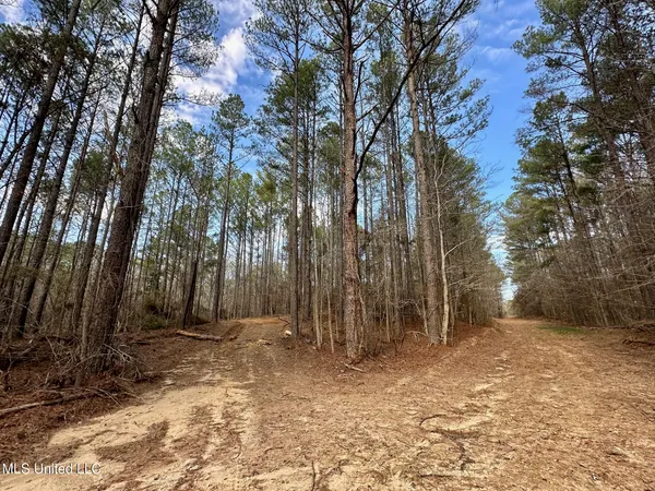 $575,000 | 5 Scarborough Road, Carthage, MS 39051