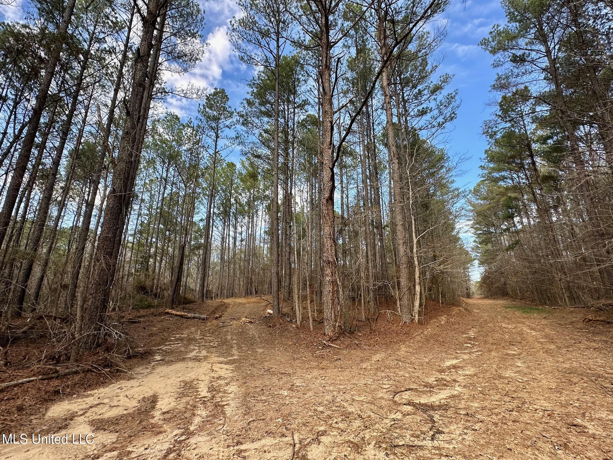 5 Scarborough Road Carthage, MS 39051 - Photo 7 of 46 9