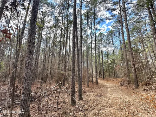 $575,000 | 5 Scarborough Road, Carthage, MS 39051