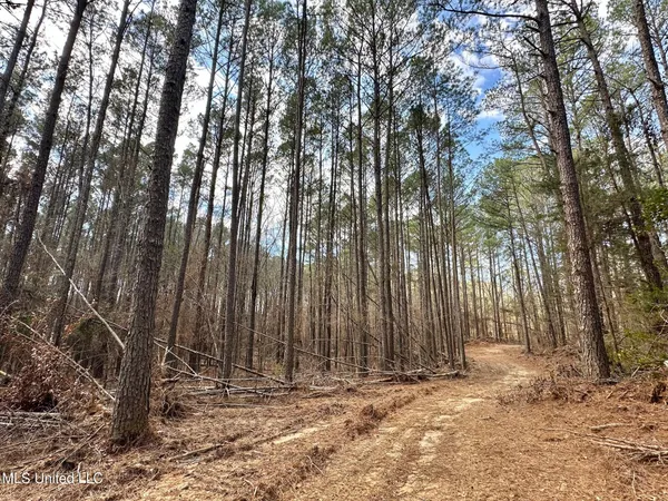 $575,000 | 5 Scarborough Road, Carthage, MS 39051