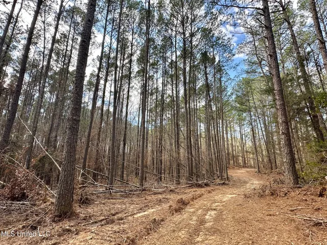 $575,000 | 5 Scarborough Road, Carthage, MS 39051