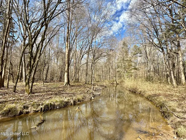 $575,000 | 5 Scarborough Road, Carthage, MS 39051