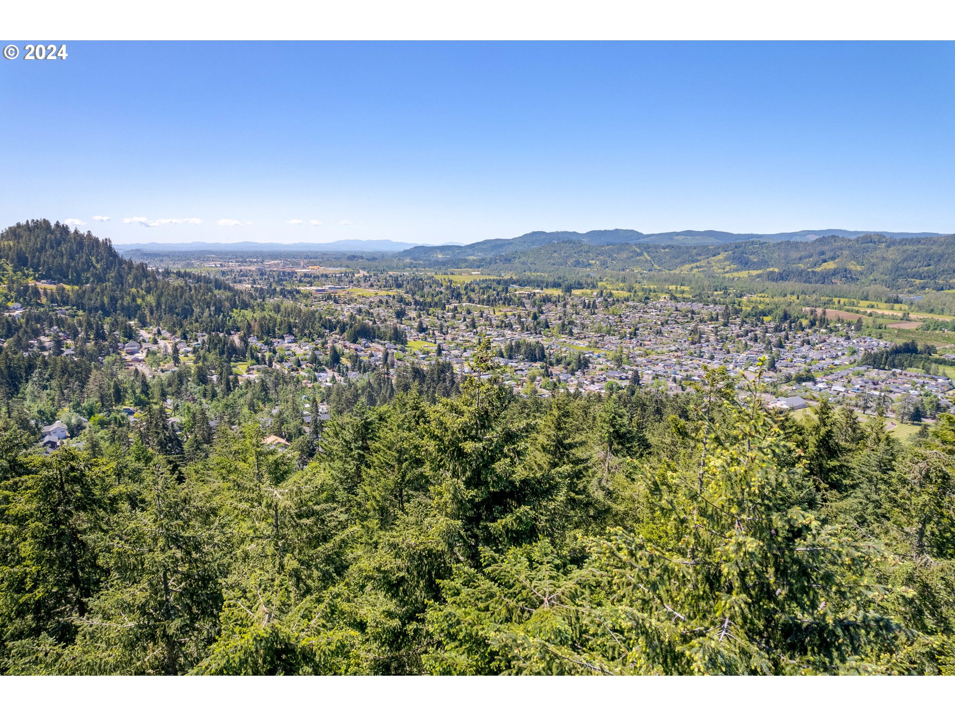 South 73rd Street Springfield, OR 97478 - Photo 7 of 20 a view of a city with lush green forest