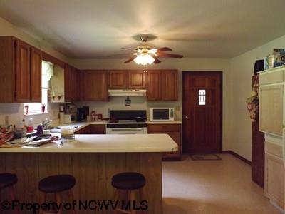 166 Nicholas Run Road Gassaway, WV 26624 - Photo 5 of 19 Gallery Image 5