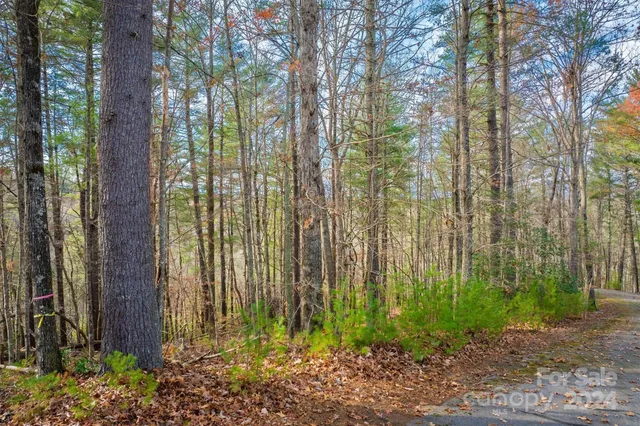 $35,500 | 133 James Bob Stafford Drive, Nebo, NC 28761