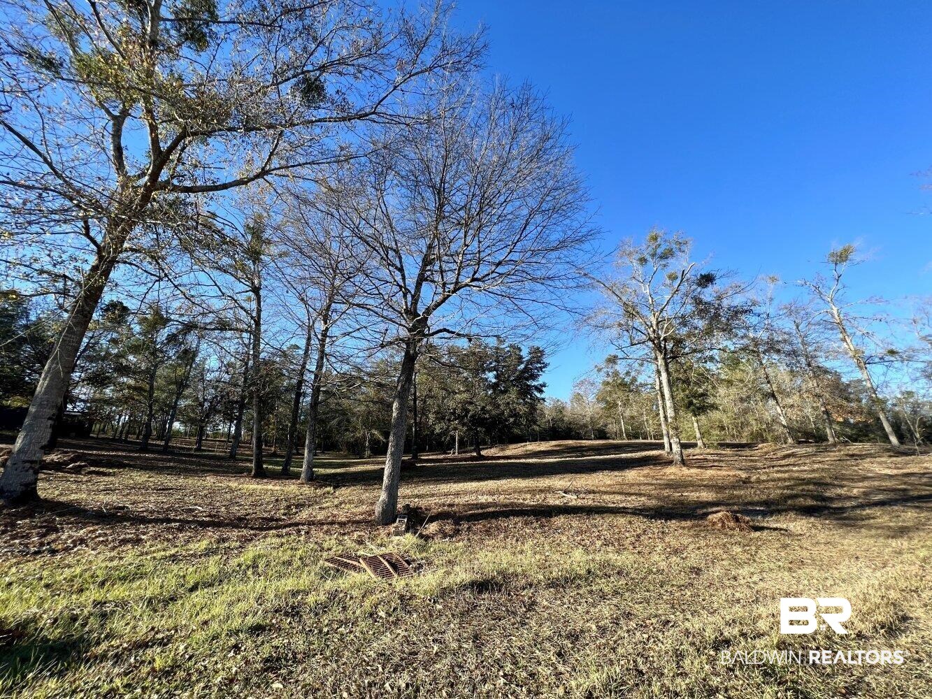 12340 Tall Pine Road Bay Minette, AL 36507 - Photo 5 of 50
