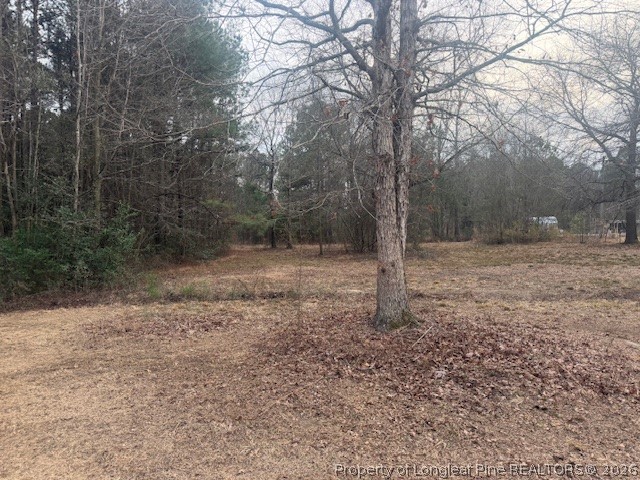 95 Eric Lane Autryville, NC 28318 - Photo 4 of 10 a backyard of a house with lots of green space