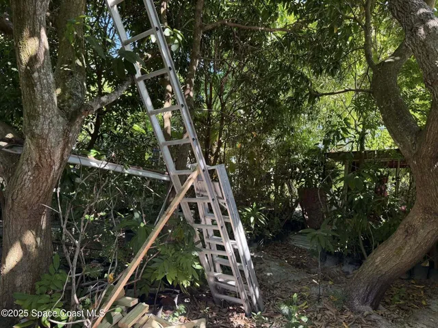 a view of a house with a tree