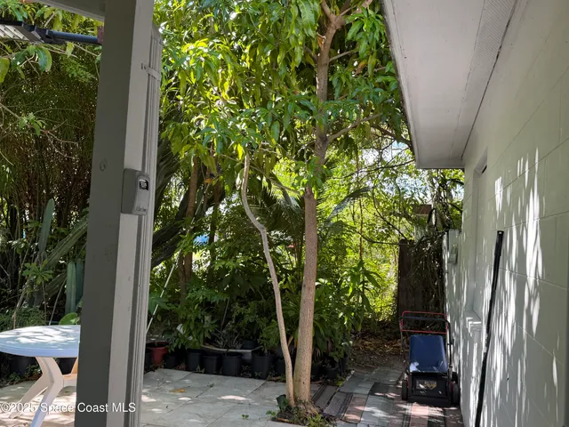 a living room with a couch and a stove top oven