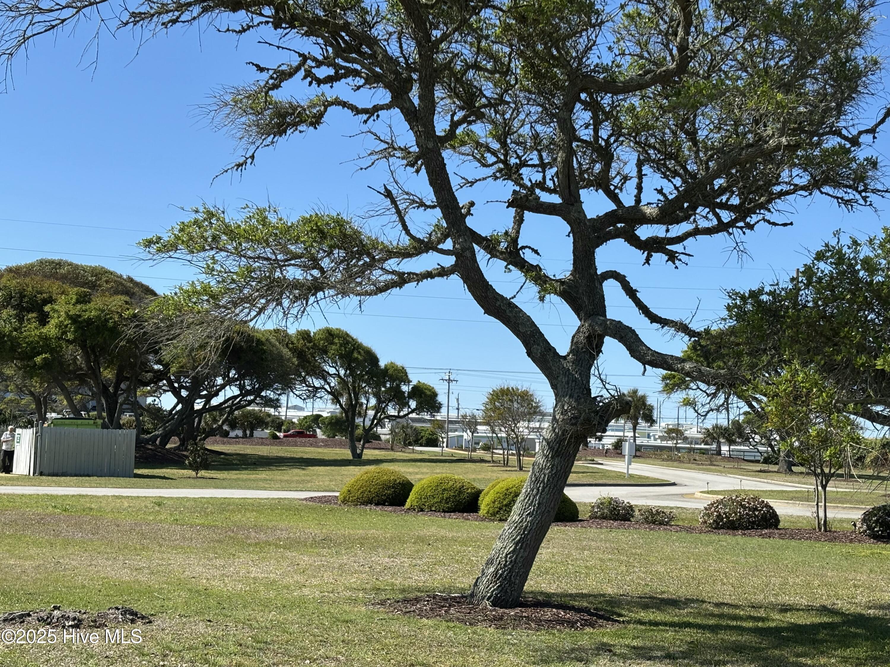 1550 Salter Path Road, Unit 209 Indian Beach, NC 28512 - Photo 4 of 43 GROUNDS