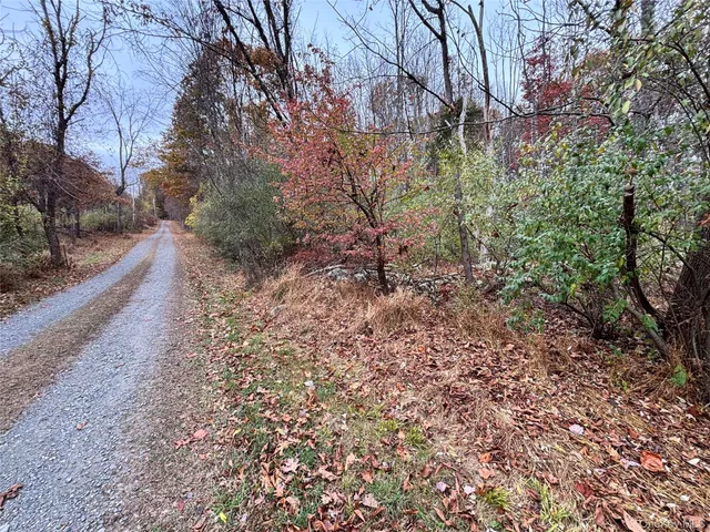 a big yard with lots of green space