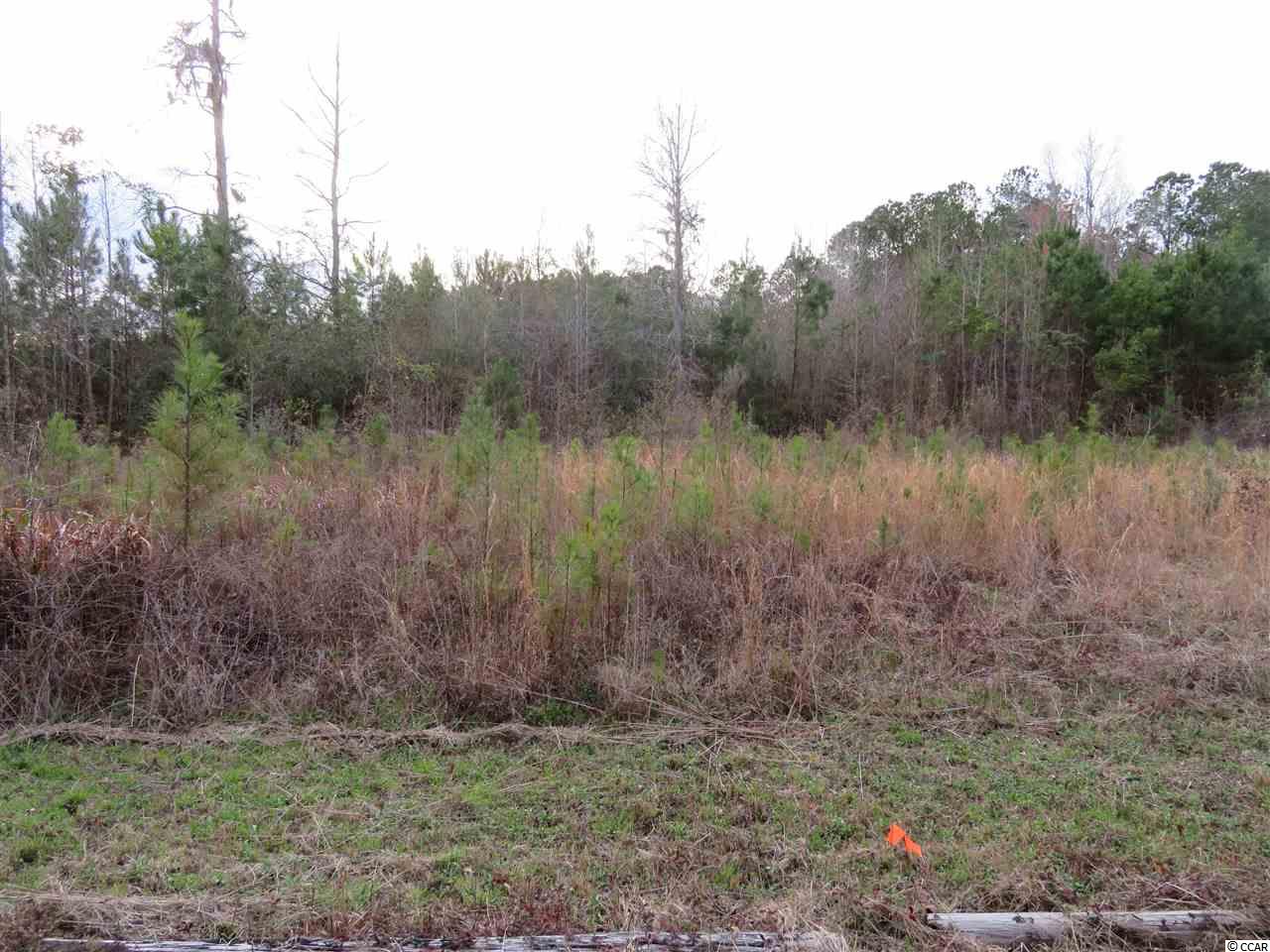 10 Mishoe Road Conway, SC 29527 - Photo 2 of 5 Gallery Image 2