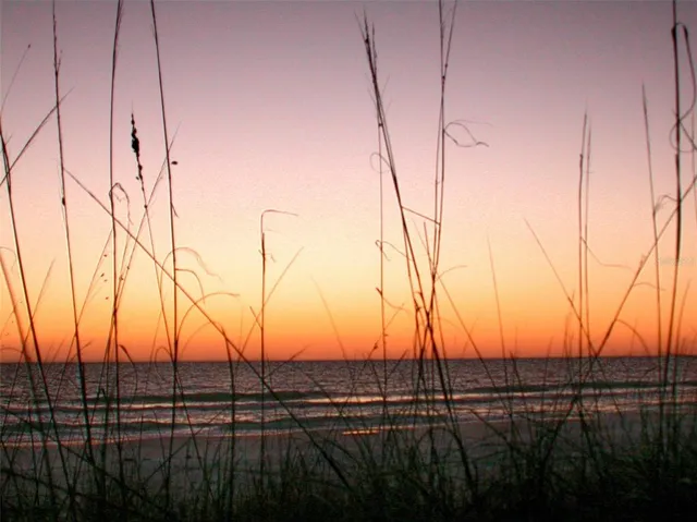 $7,000 | 5757 Gulf Of Mexico Drive, Unit 204, Longboat Key, FL 34228