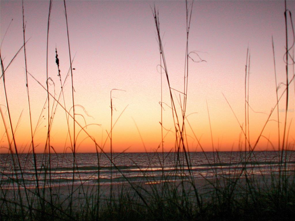 5757 Gulf Of Mexico Drive, Unit 204 Longboat Key, FL 34228 - Photo 71 of 71 a view of mountain with trees in the background
