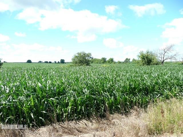 14507 West Coomber Road Lena, IL 61048 - Photo 21 of 24 Gallery Image 21