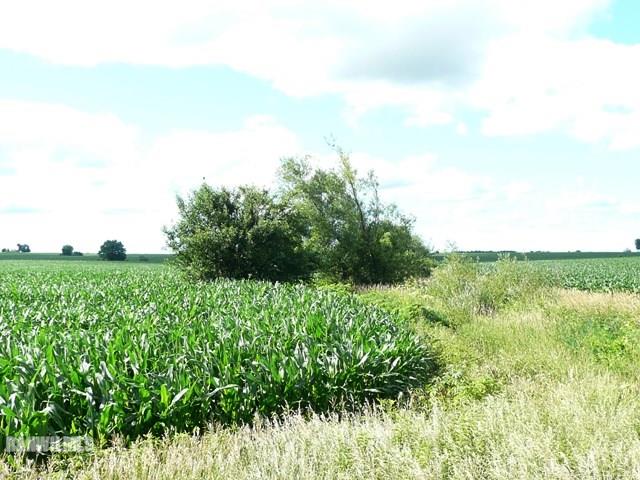 14507 West Coomber Road Lena, IL 61048 - Photo 23 of 24 Gallery Image 23