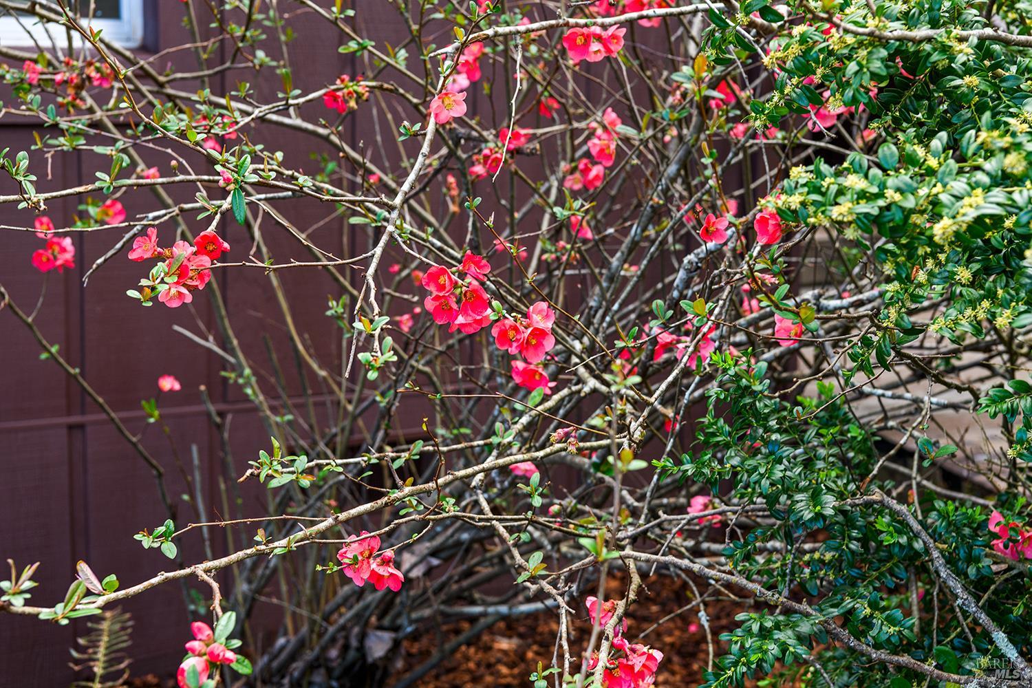 8400 Blackney Road Sebastopol, CA 95472 - Photo 32 of 36