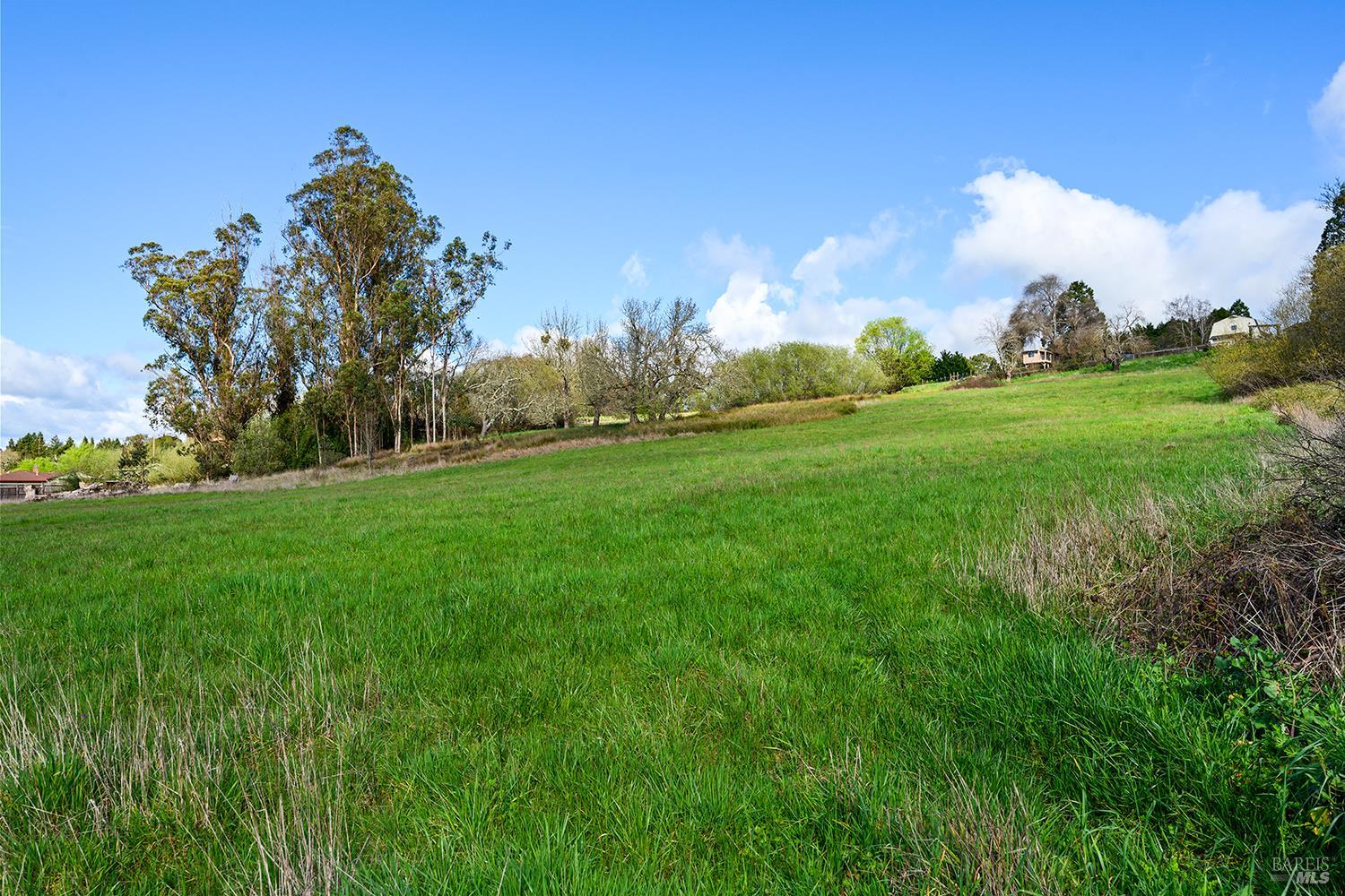 8400 Blackney Road Sebastopol, CA 95472 - Photo 9 of 36