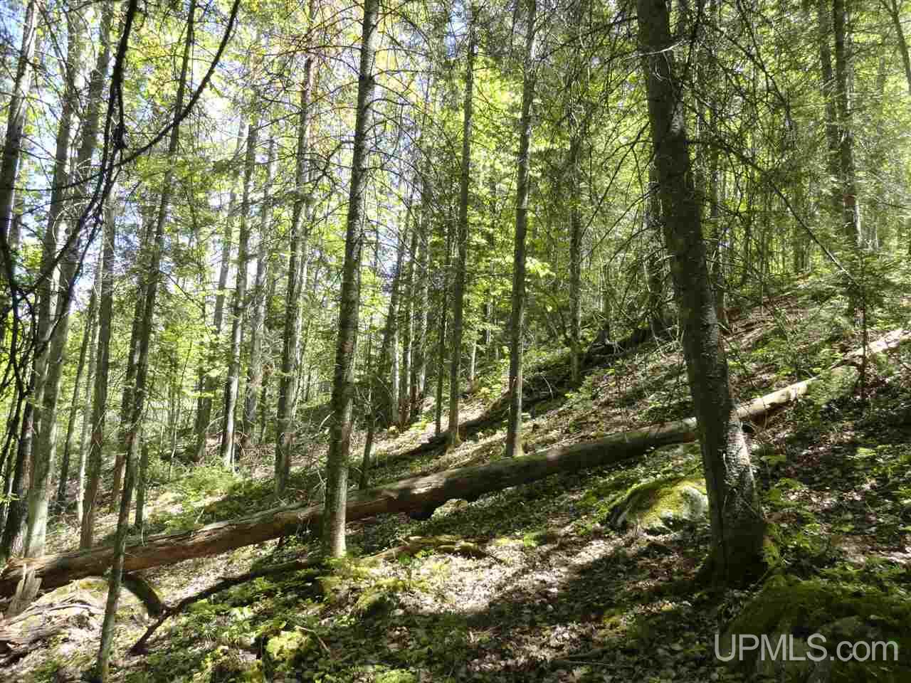 40 Two 2 Mile Creek Road Channing, MI 49815 - Photo 13 of 15