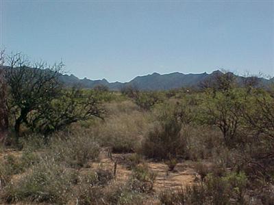 124 East Diamondback Road St. David, AZ 85630 - Photo 1 of 1