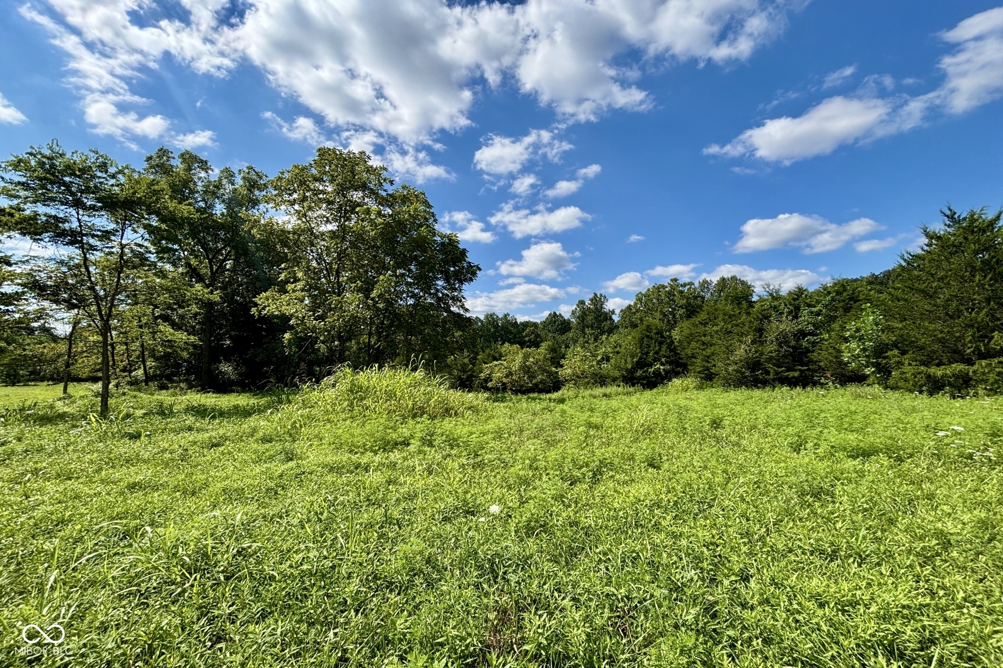 0 West Water Tower Road Salem, IN 47167 - Photo 3 of 4 Gallery Image 3