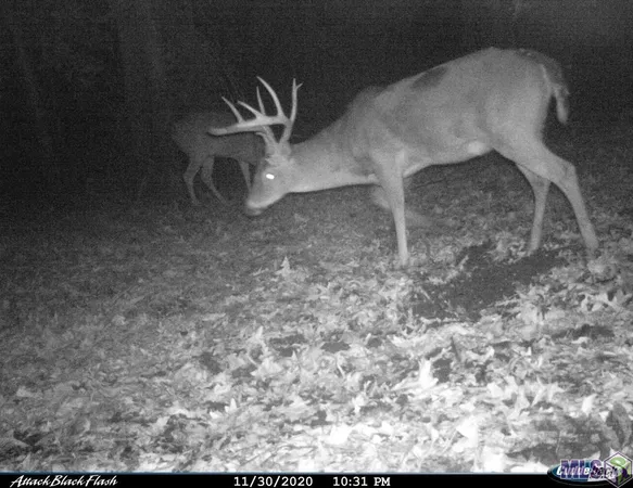 $698,400 | 27 Cat Island Road, St. Francisville, LA 70775