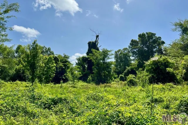 $698,400 | 27 Cat Island Road, St. Francisville, LA 70775