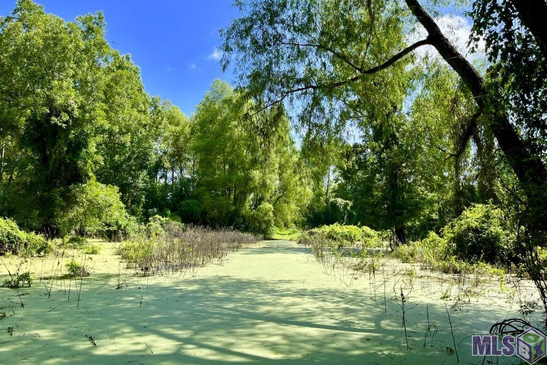 27 Cat Island Road St. Francisville, LA 70775 - Photo 15 of 29