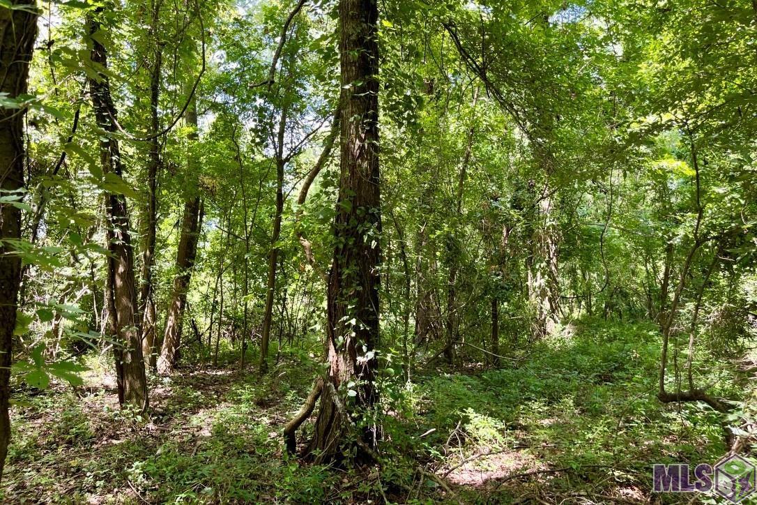 27 Cat Island Road St. Francisville, LA 70775 - Photo 18 of 29