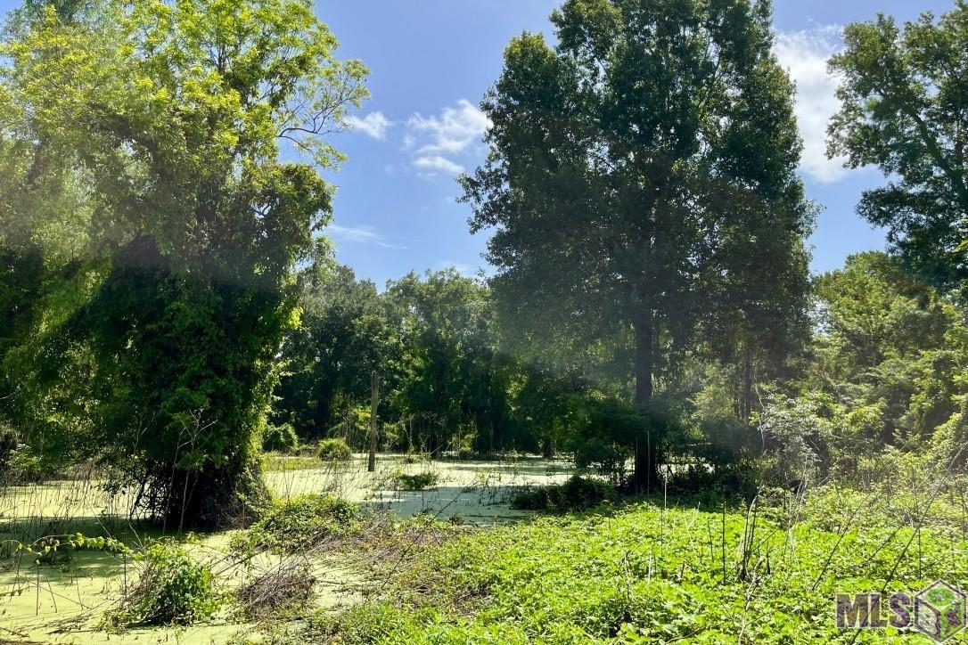 27 Cat Island Road St. Francisville, LA 70775 - Photo 19 of 29