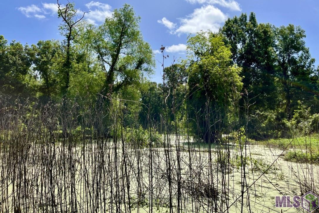 27 Cat Island Road St. Francisville, LA 70775 - Photo 20 of 29