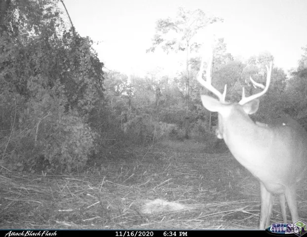 $698,400 | 27 Cat Island Road, St. Francisville, LA 70775