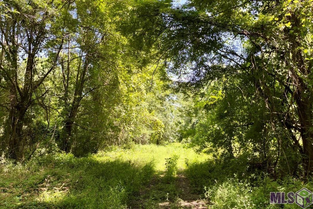 27 Cat Island Road St. Francisville, LA 70775 - Photo 21 of 29