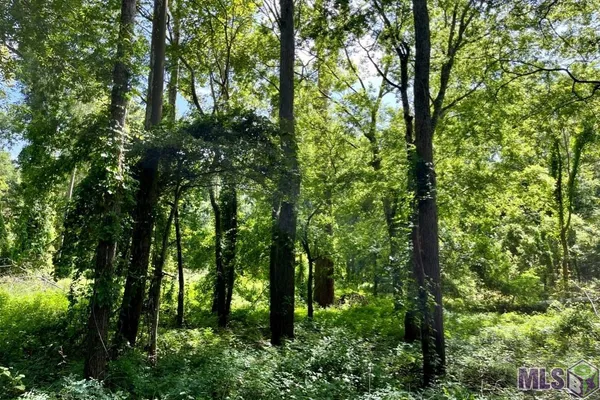 $698,400 | 27 Cat Island Road, St. Francisville, LA 70775