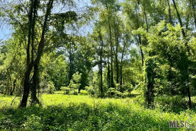 $698,400 | 27 Cat Island Road, St. Francisville, LA 70775