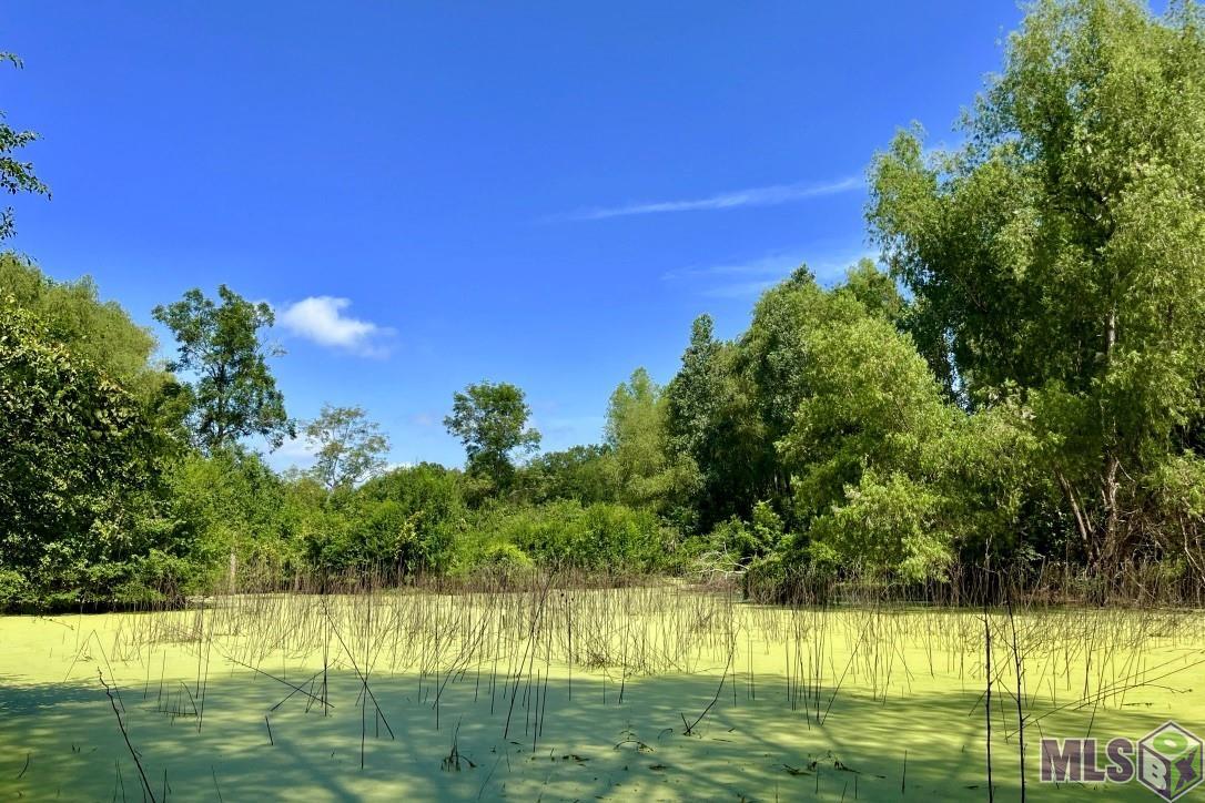 27 Cat Island Road St. Francisville, LA 70775 - Photo 10 of 29